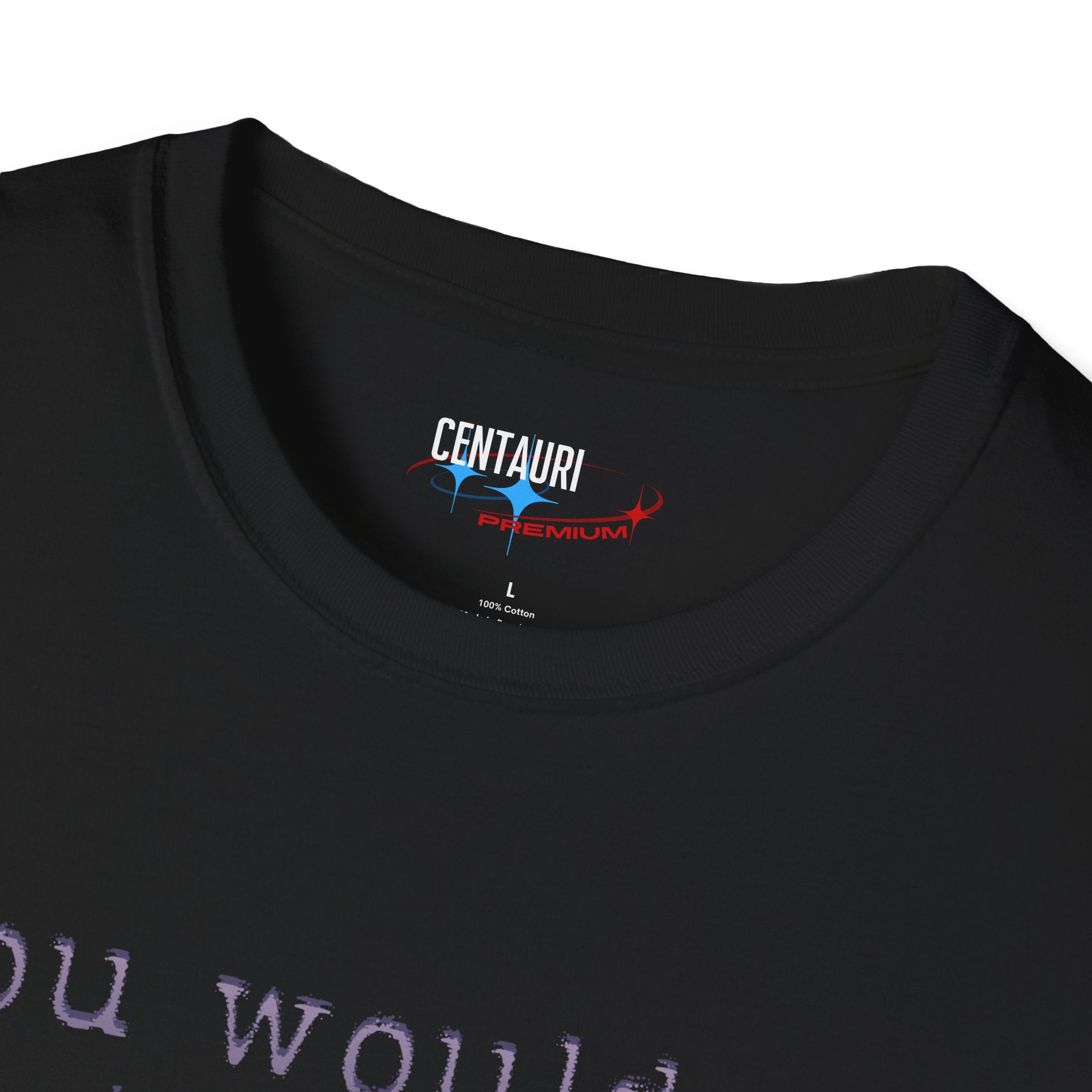 You Wouldnt Last an Hour in the Asylum Where They Raised Me T-Shirt